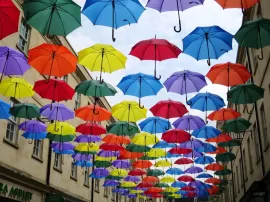 Compra tu paraguas Ezpeleta de alta calidad y fabricación española